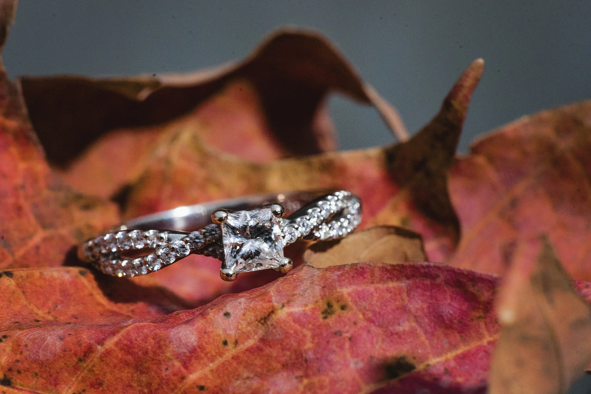 downtown_travel_park_fall_engagement_session_lynchburg_va019.jpg