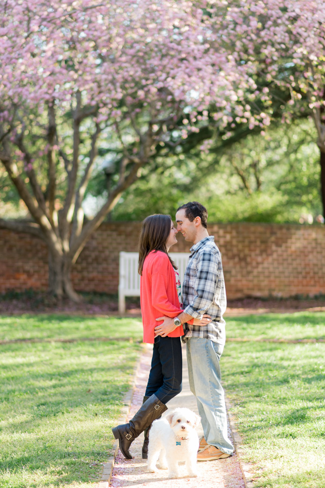 charlotsville.va.engagement.session.uva.dog.love.spring.blooms225.jpg