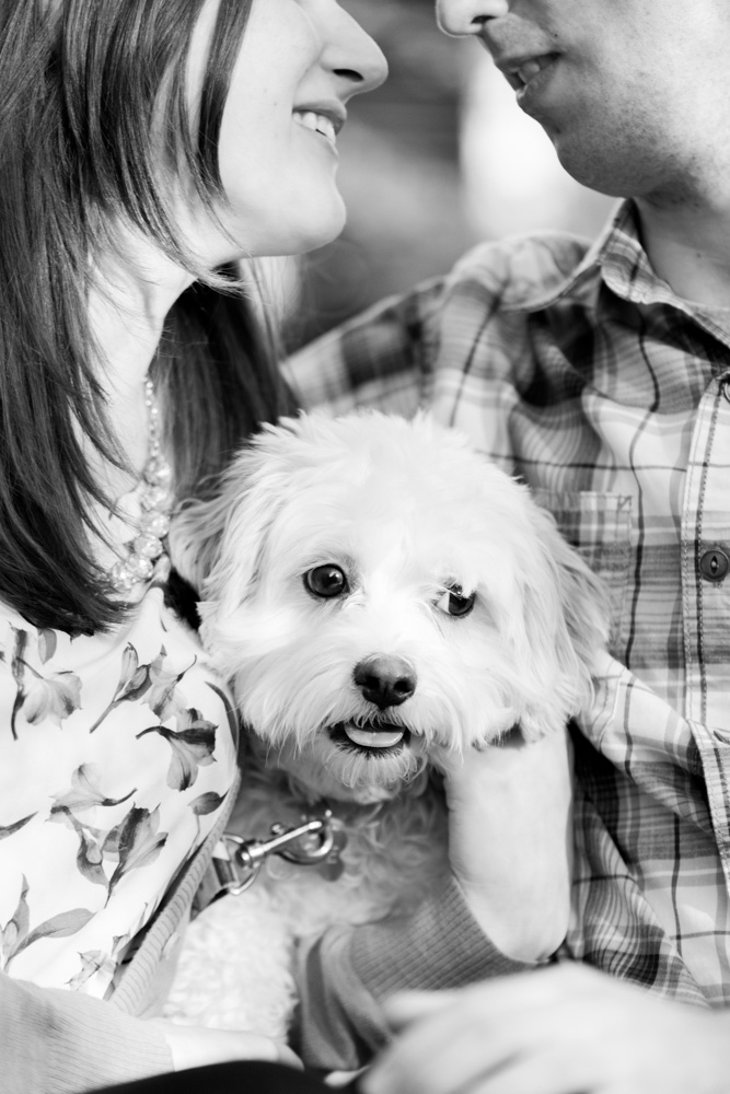 charlotsville.va.engagement.session.uva.dog.love.spring.blooms235.jpg