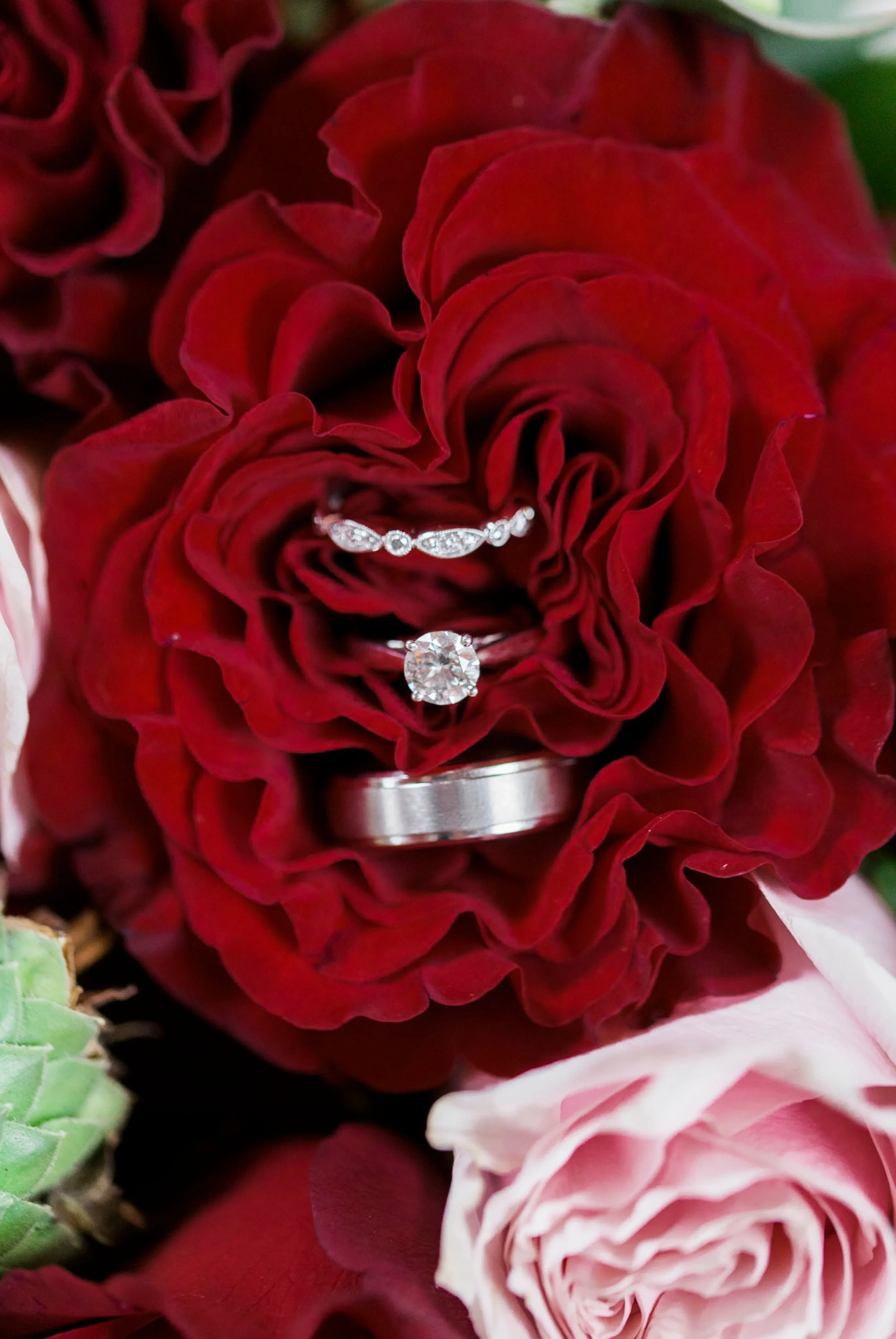 IrvineEstate_LexingtonVA_Wedding_FallWedding_VirginiaWeddingPhotographer 4.jpg