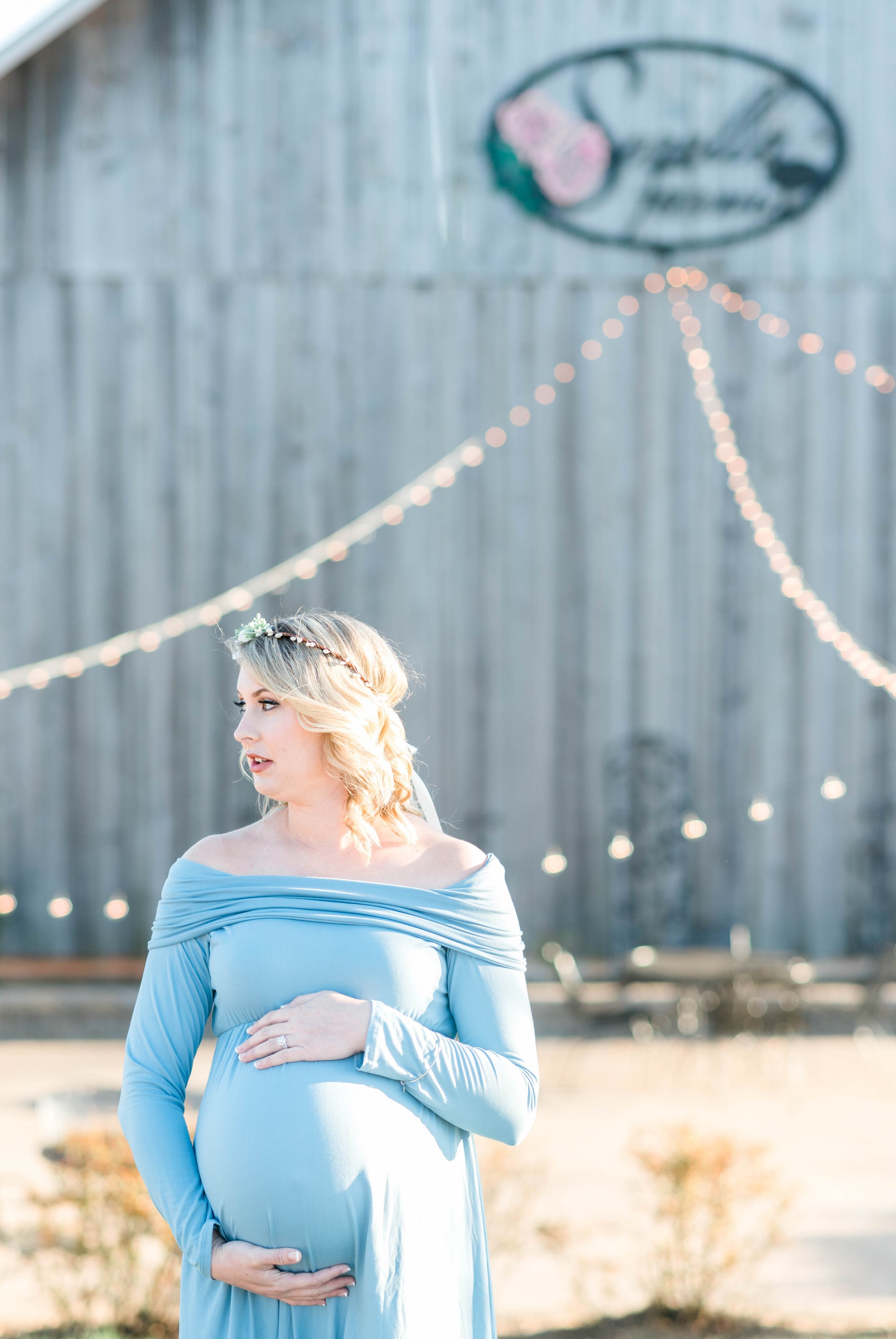 SorellaFarms_Jessica+Dylan_MaternitySession_Virginiaweddingphotographer 22.jpg