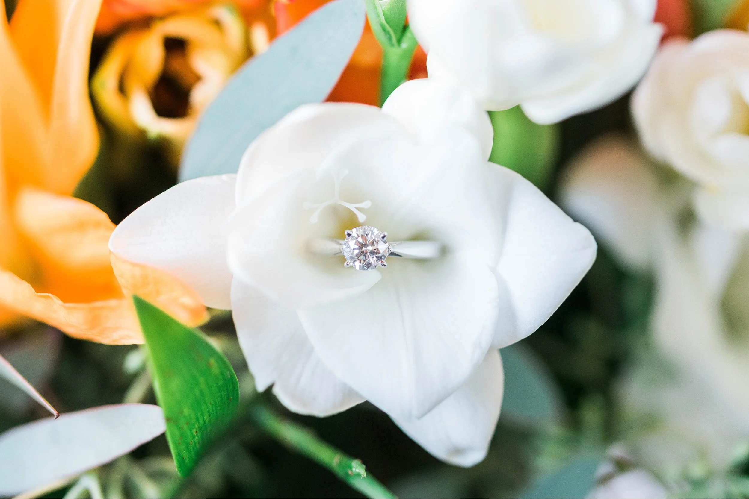 SorellaFarms_EvingtonVA_LynchburgVA_VirginiaWeddingPhotographer_BenRachel 5.jpg