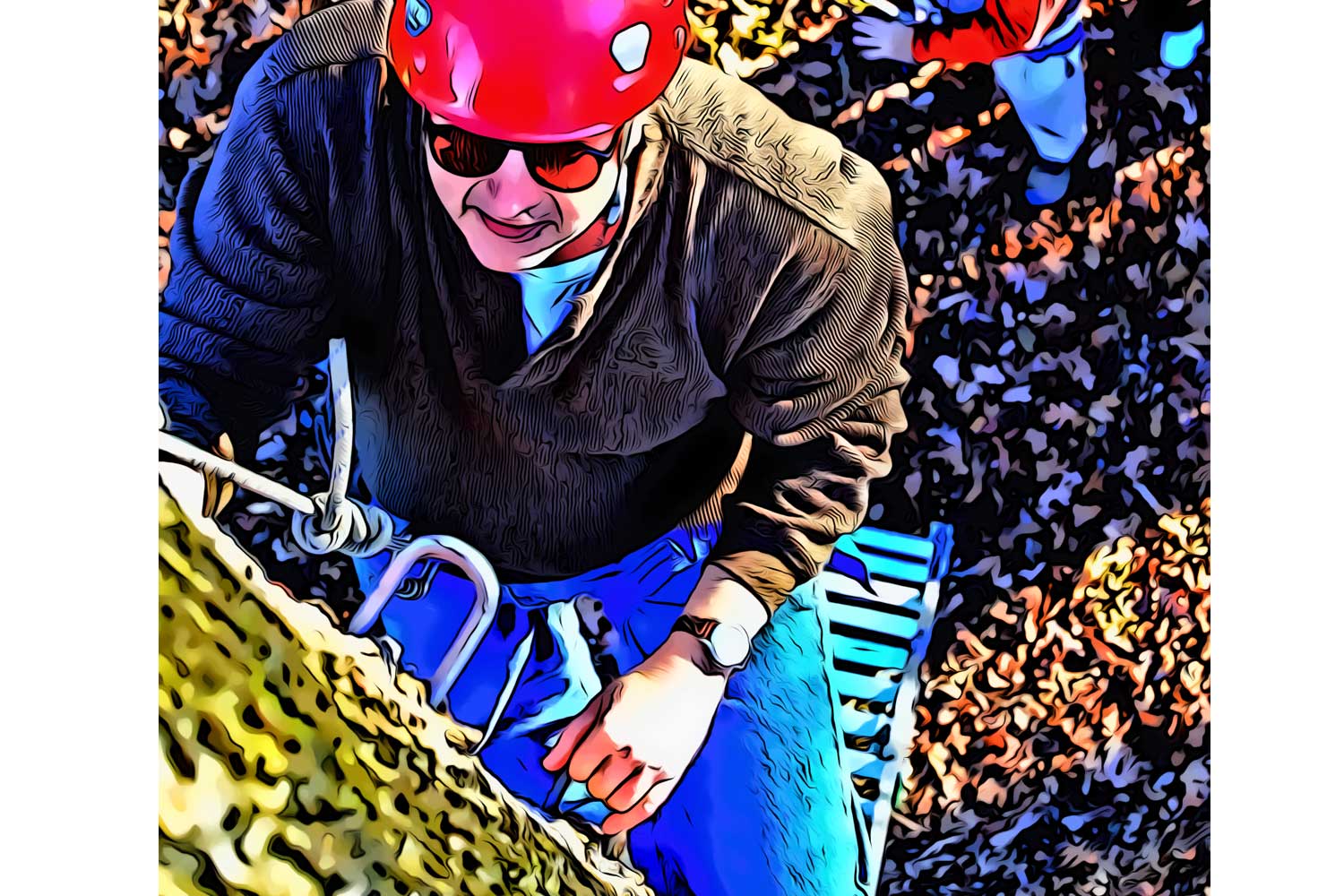 Goal-Tree-Climb-1.jpg