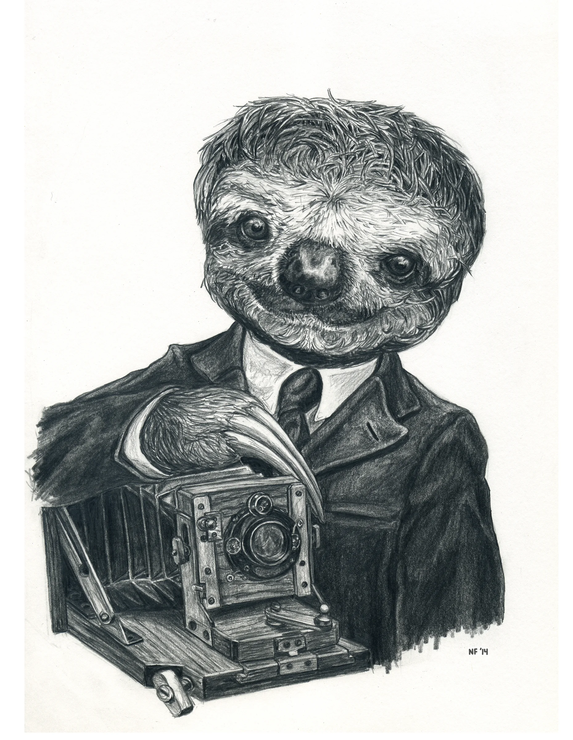 Sloth Selfie