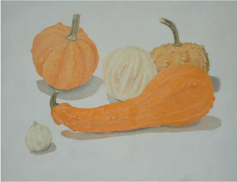 Squashes in Fall Color