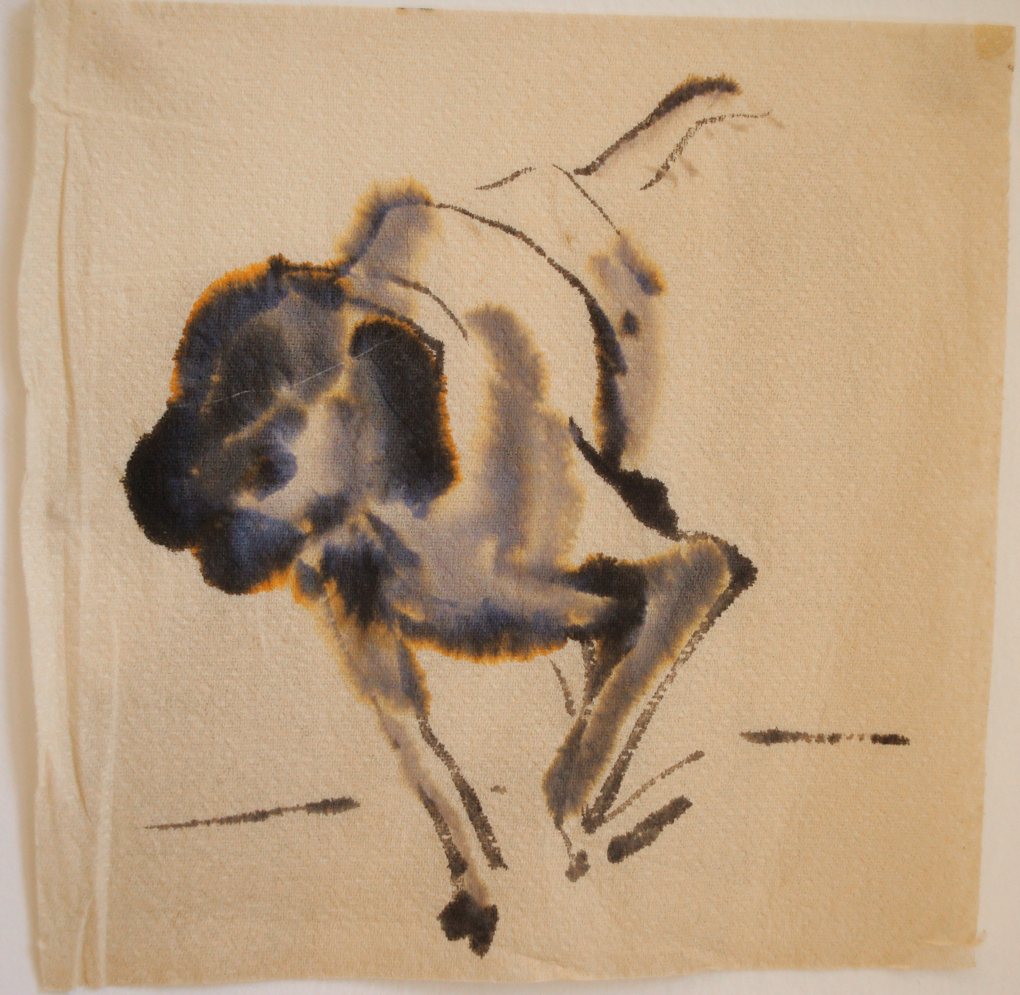Dog on Paper Towel