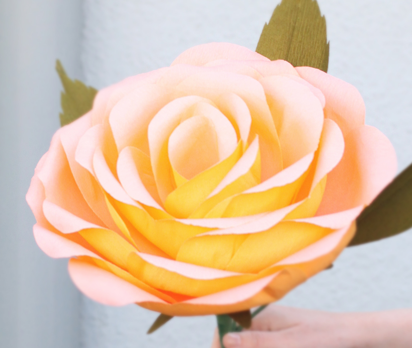 Giant paper rose made in a class I attended