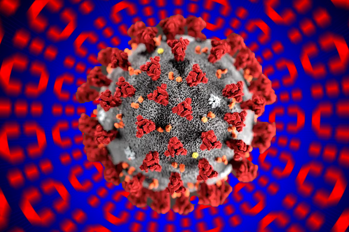 coronavirus3.png