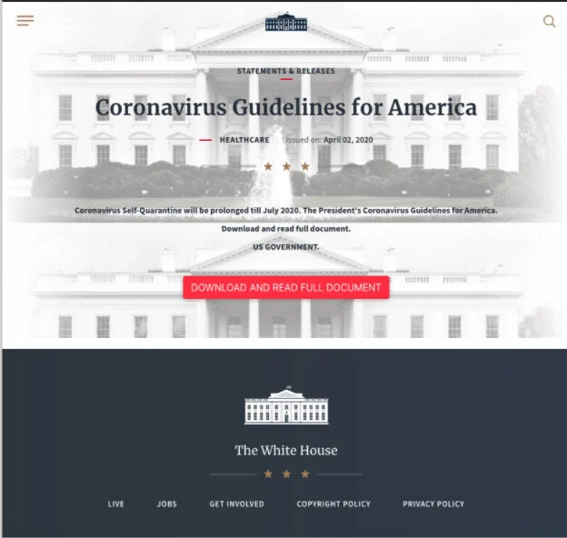 Phishing website that replicates an actual government site.