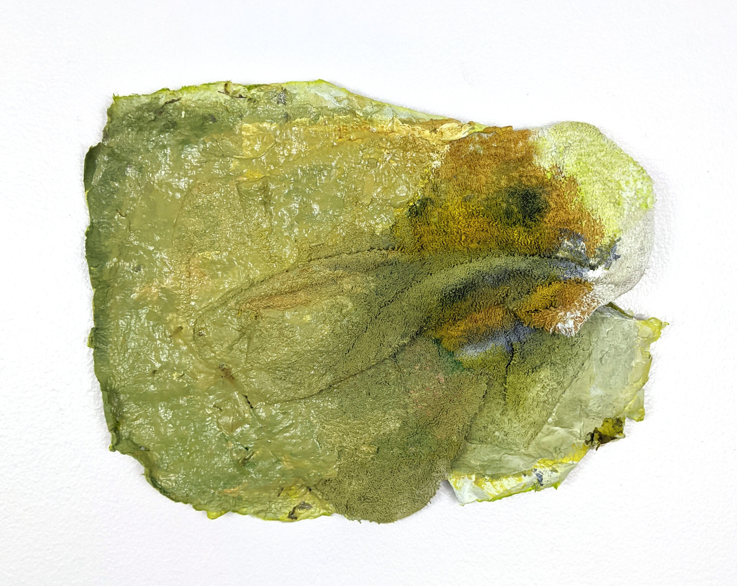 Where to Start? , 2021 Acrylic, ink, paper pulp, and rag Image Description: A mossy green painted rag blends into paper pulp