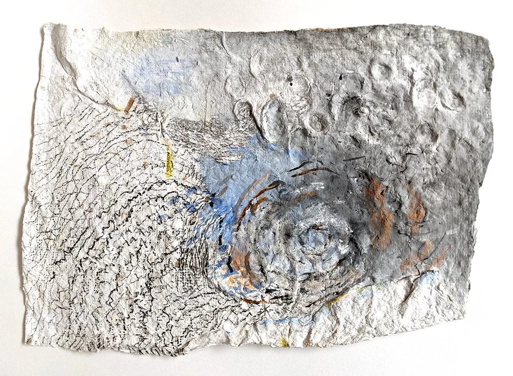 DanaO'Malley_Nesting into the Wind.jpg