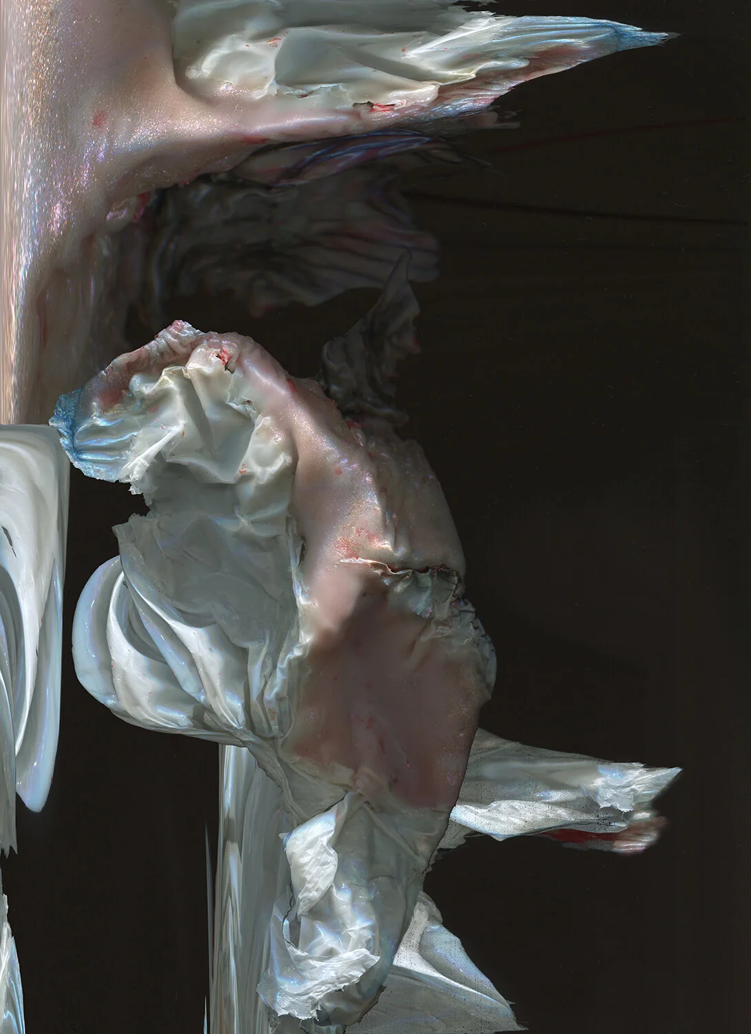 distort_1birdskin156 small.jpg
