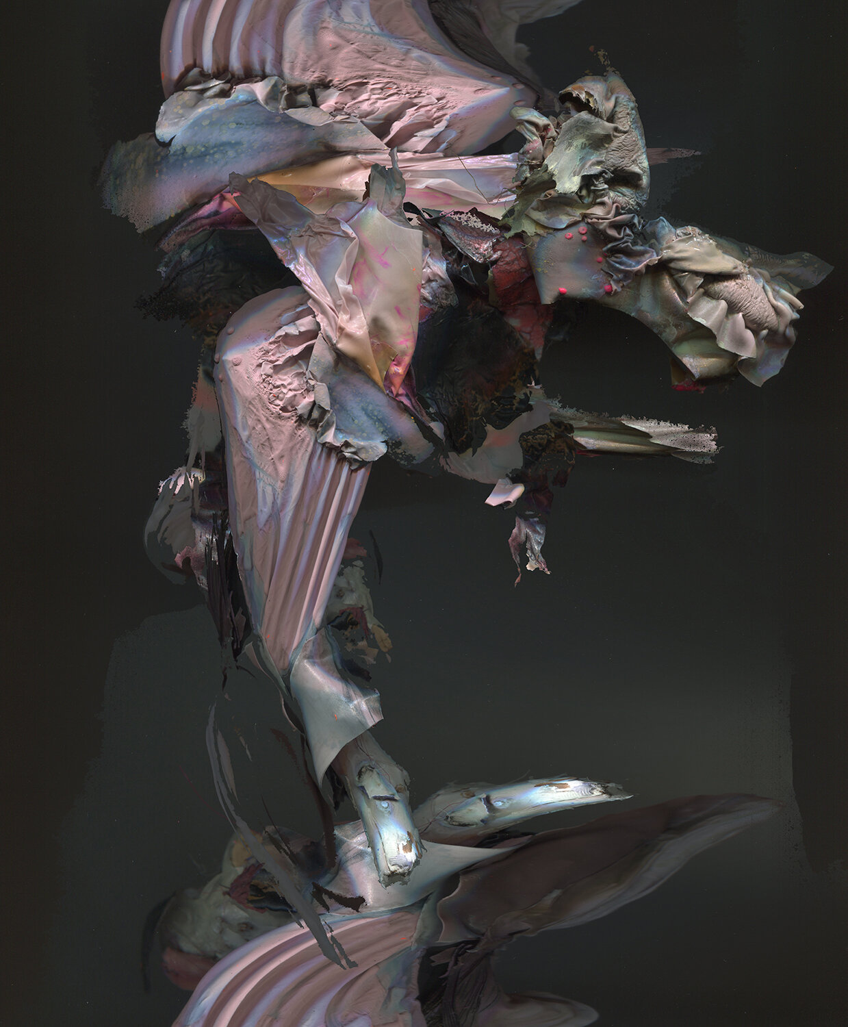 distort_12birdskin062.jpg