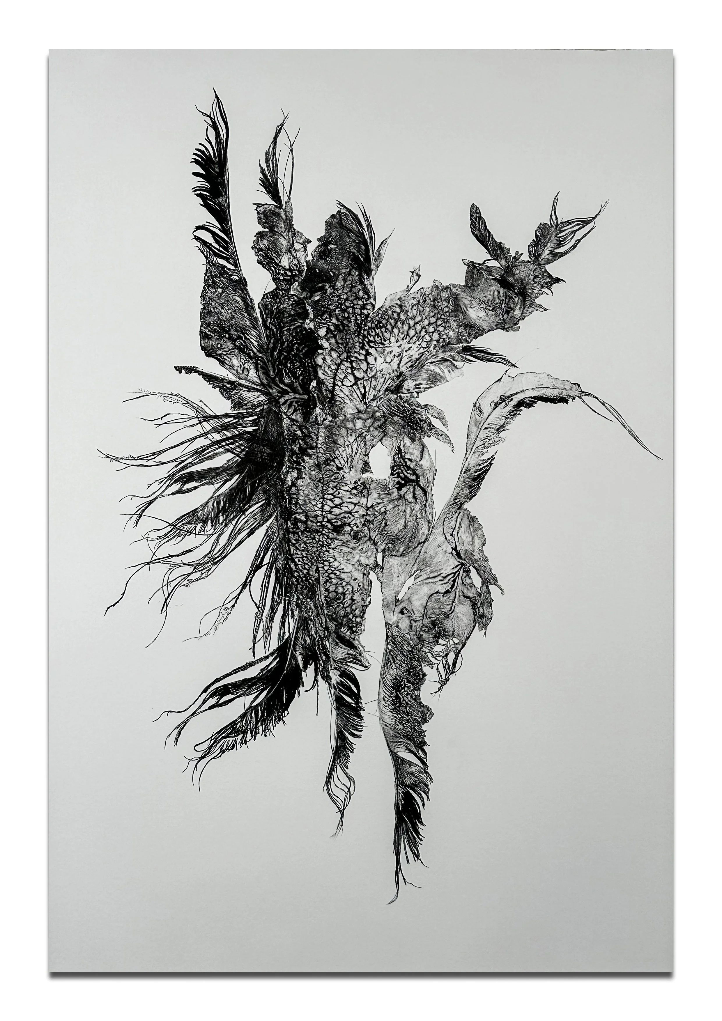 Song For Dying-2.jpg