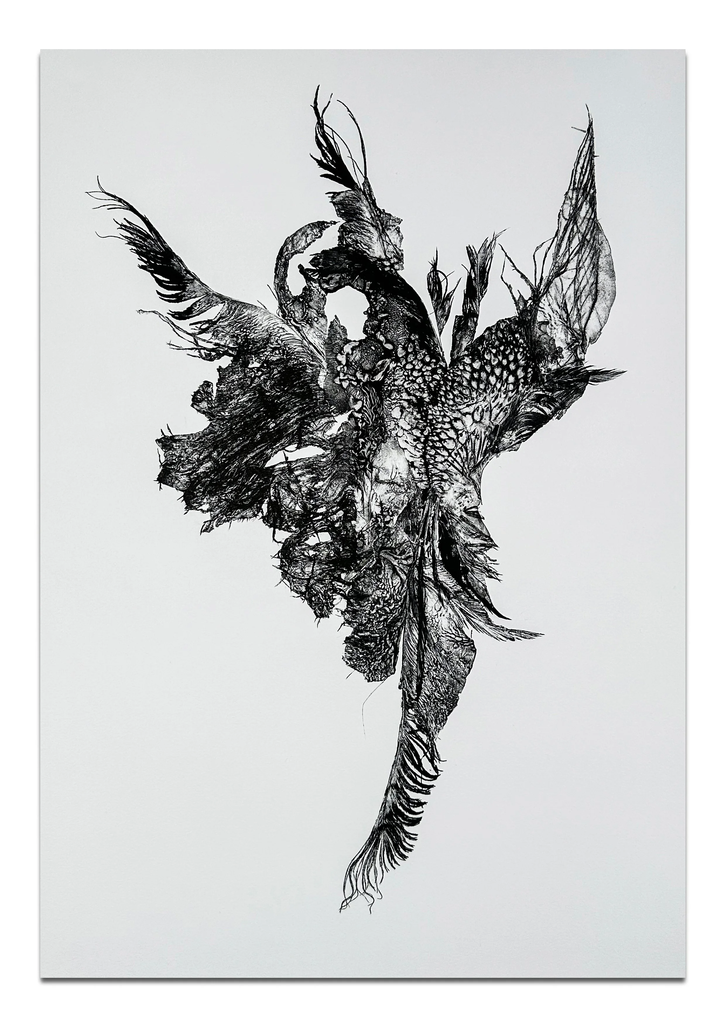 Song For Dying-3.jpg