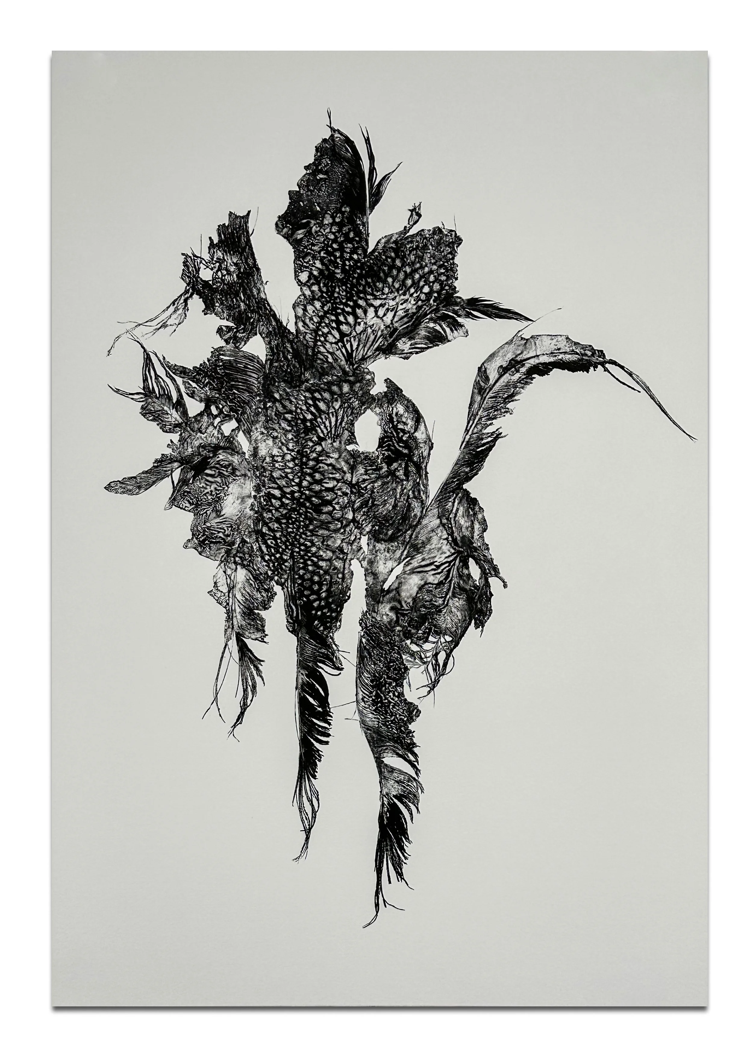 Song For Dying-6.jpg