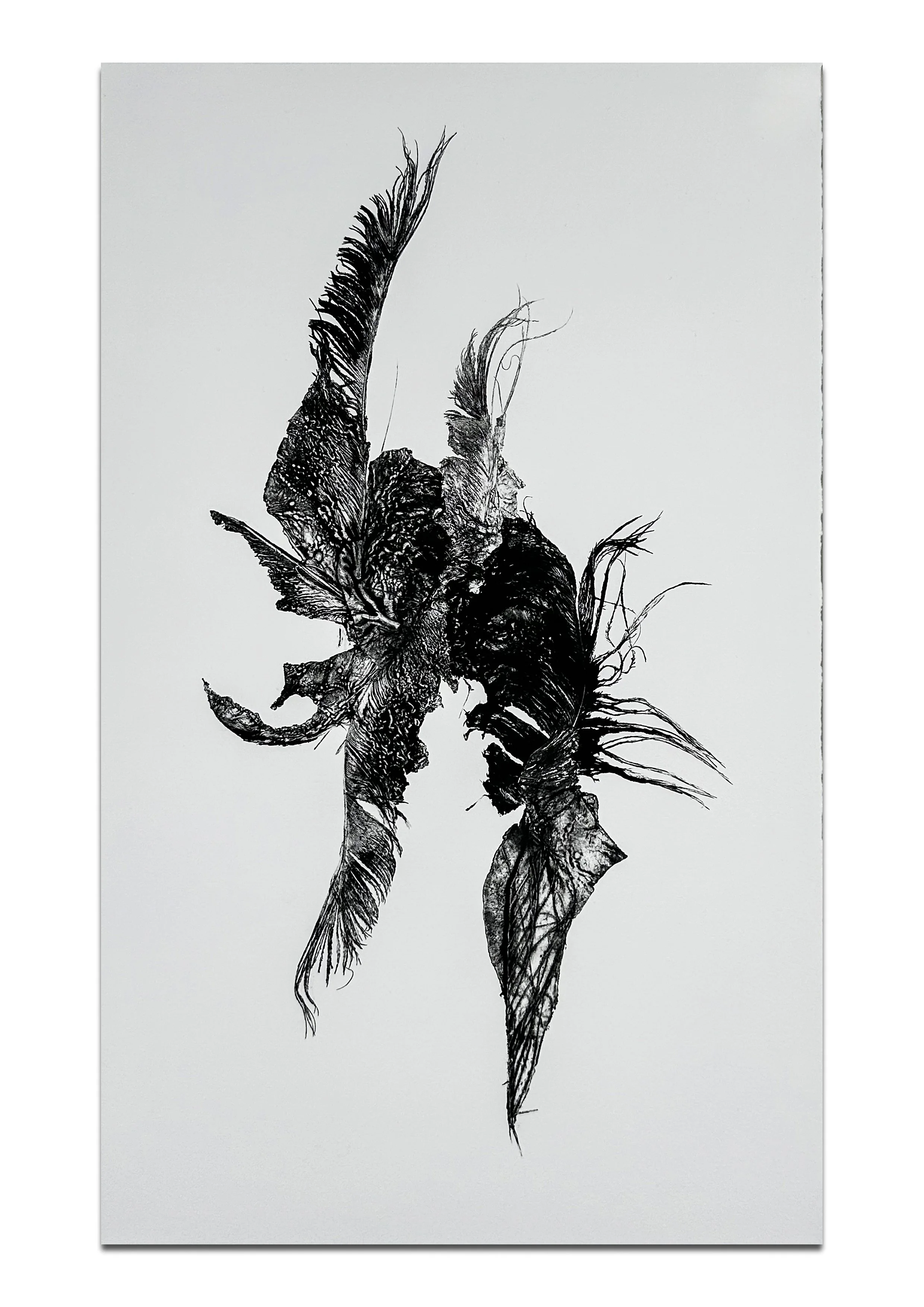 Song For Dying-7.jpg