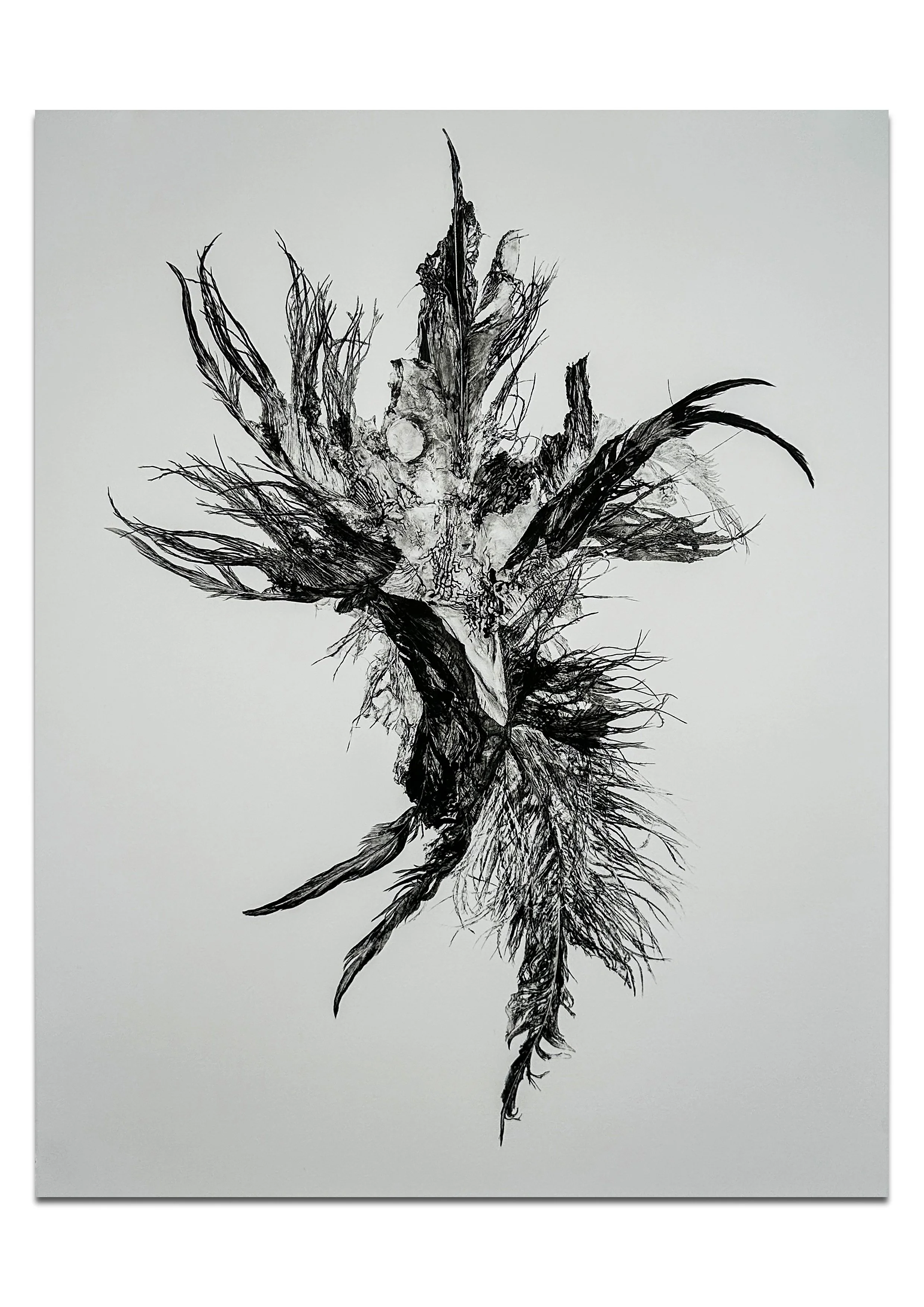 Song For Dying-8.jpg