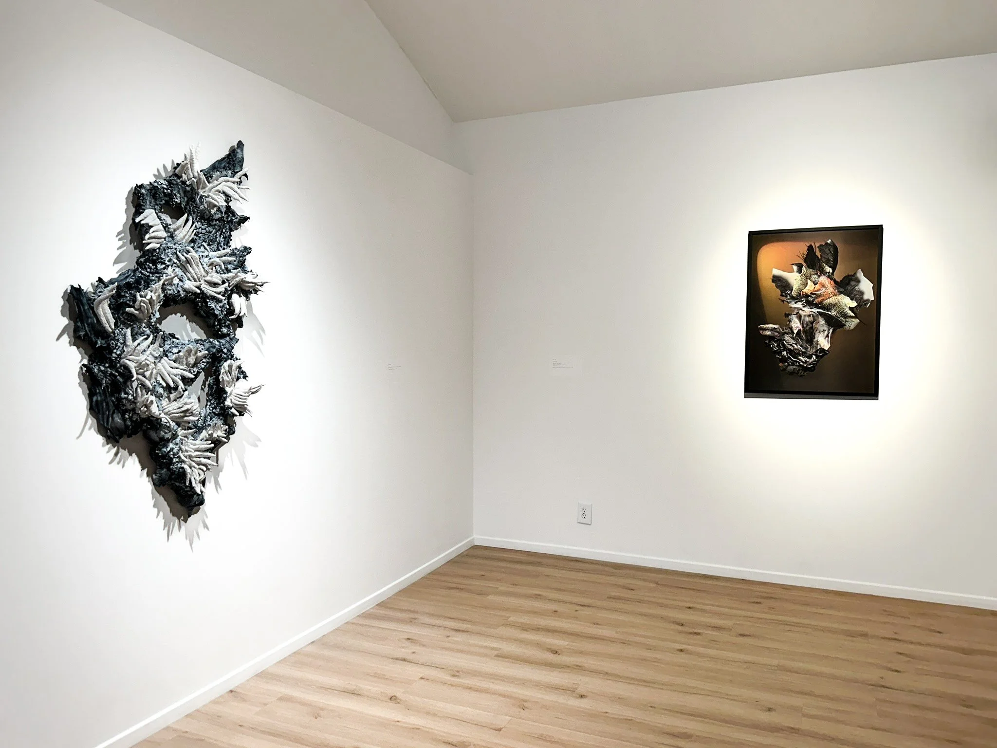 Chthonic installation view.jpg