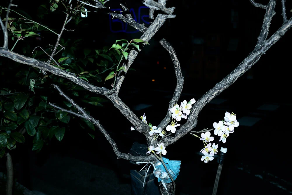 _P8A4316.JPG