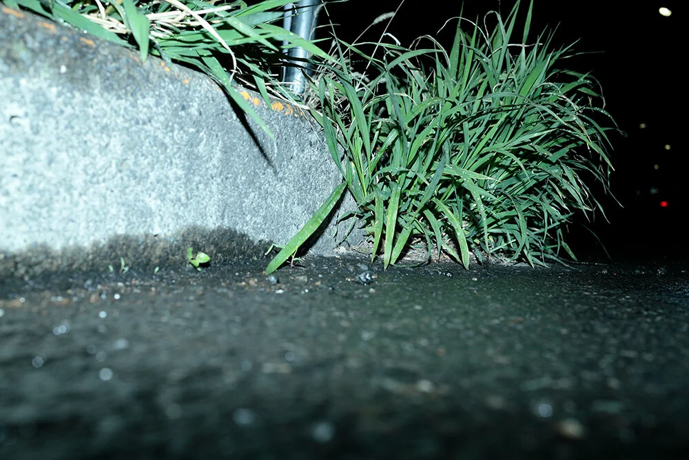 _P8A4469.JPG