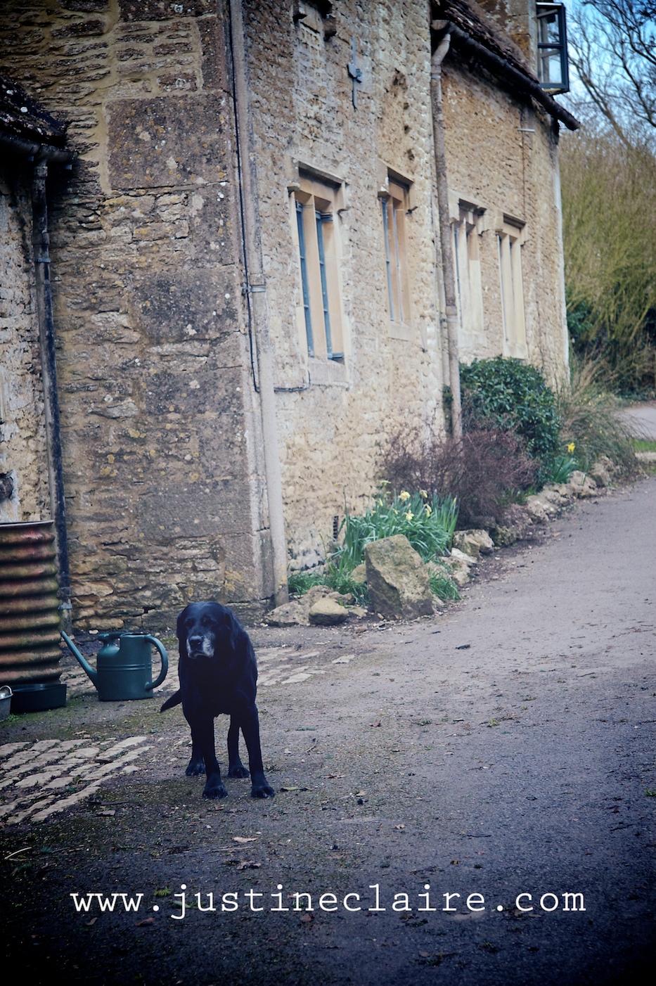 Chavenage House Wedding Photographers 0001.jpg