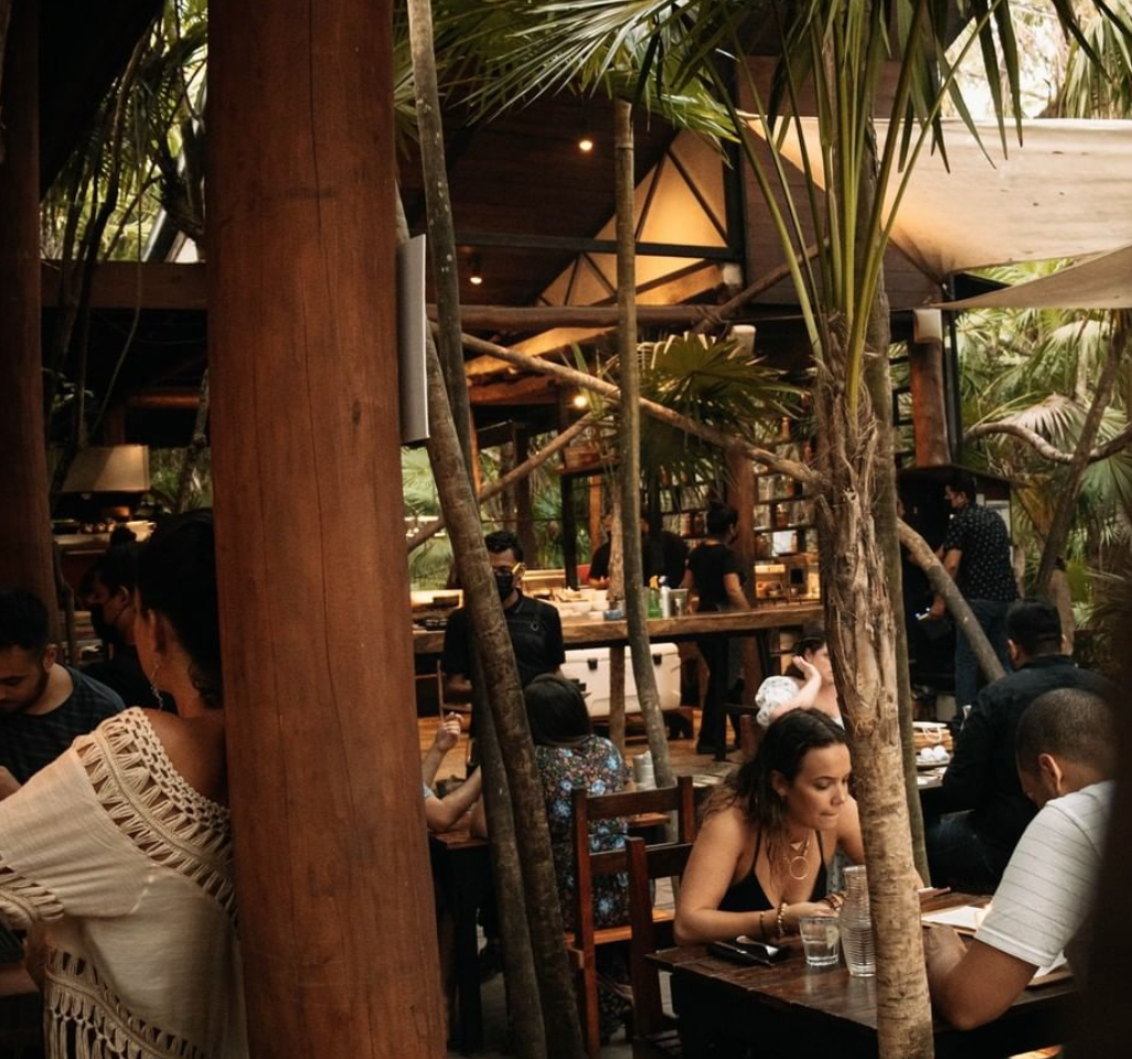 32: GAME THEORY, SHARK DIVING &amp; KITCHEN TABLE IN TULUM, MEXICO