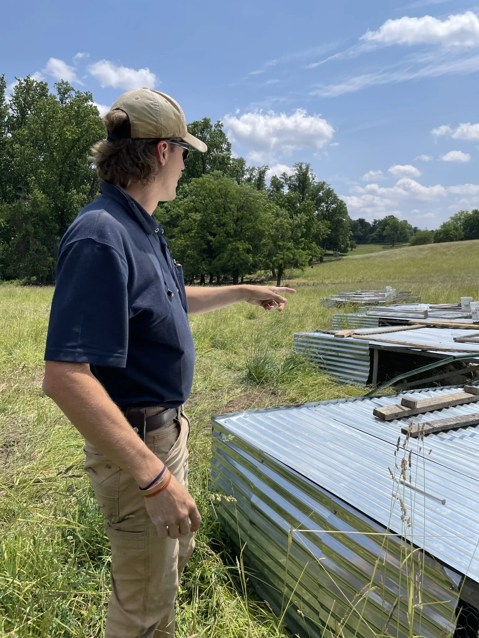 107: HIDDEN WATERS FARM -- REGENERATIVE AG, JOE SHAFFER EXPLAINS