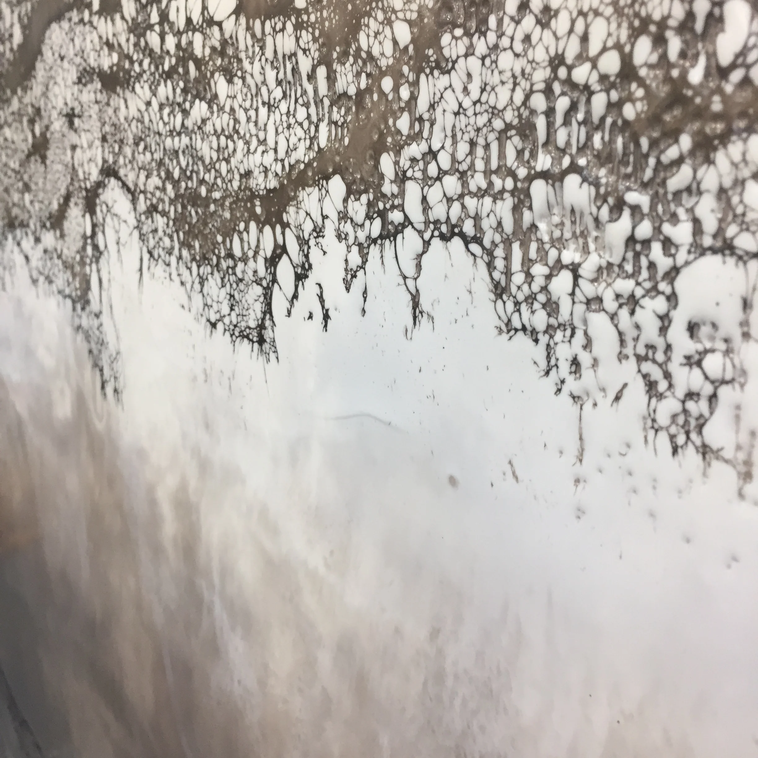 Terra Incognita (detail)