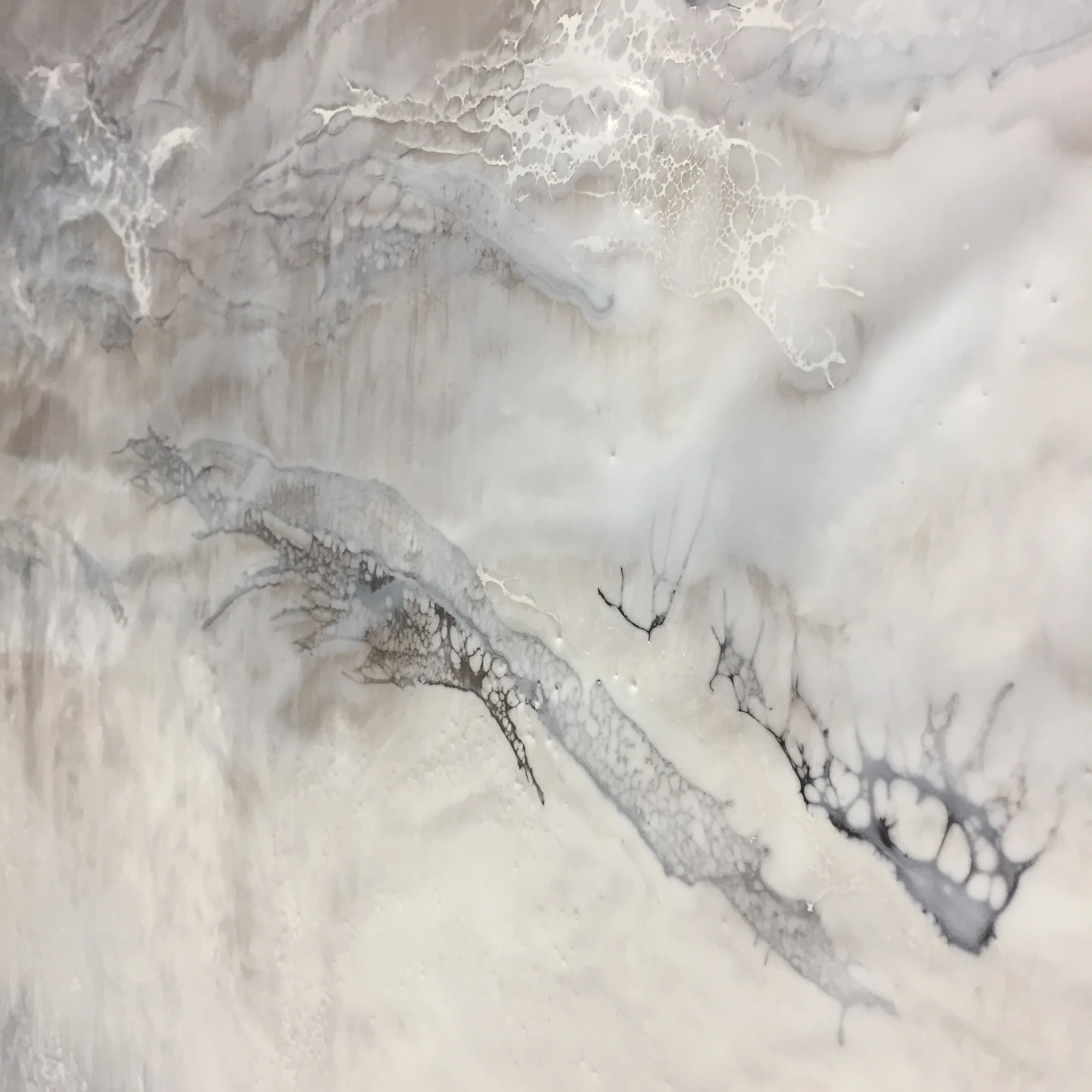 Terra Incognita (detail)