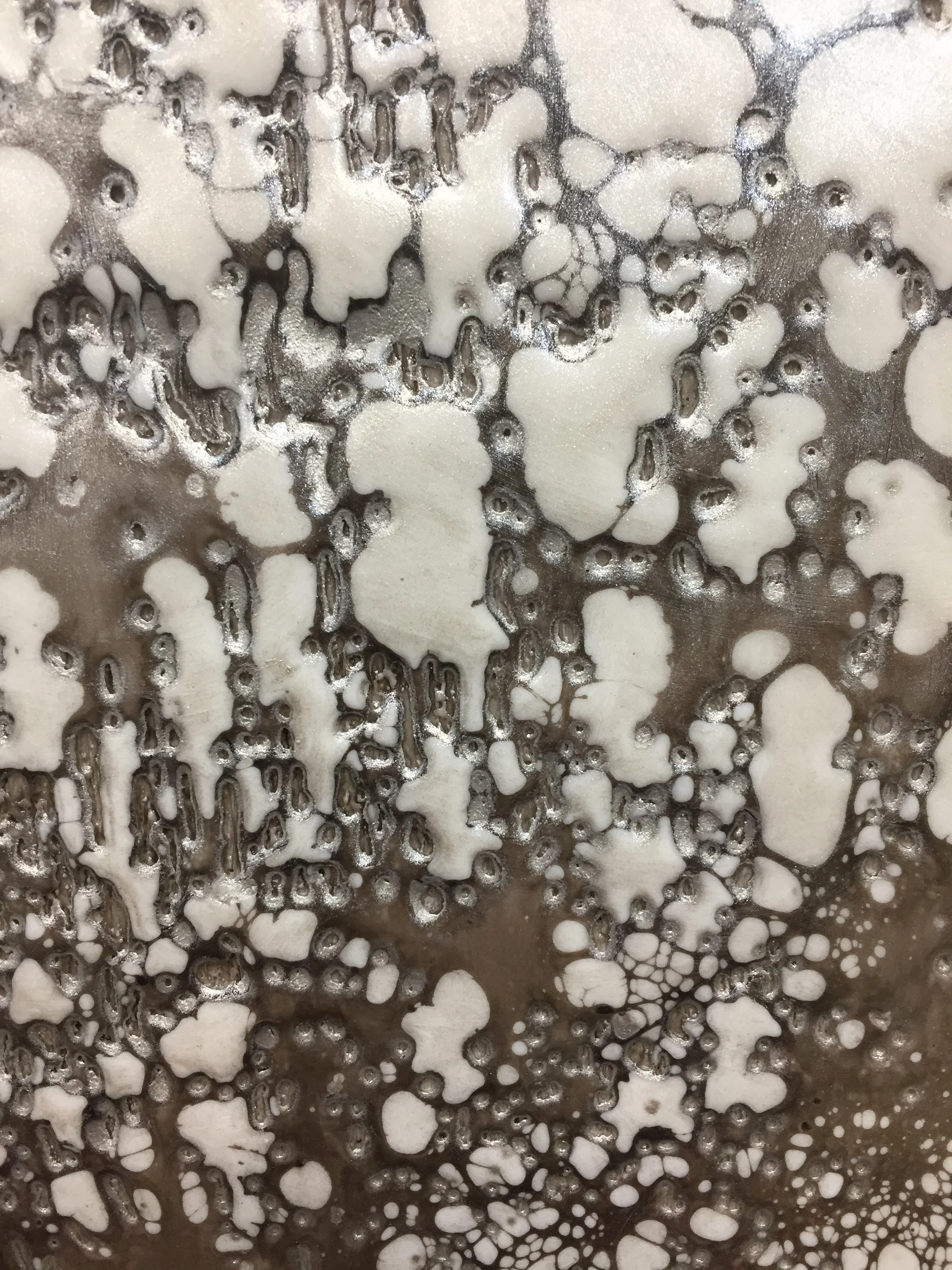 Terra Incognita (detail)