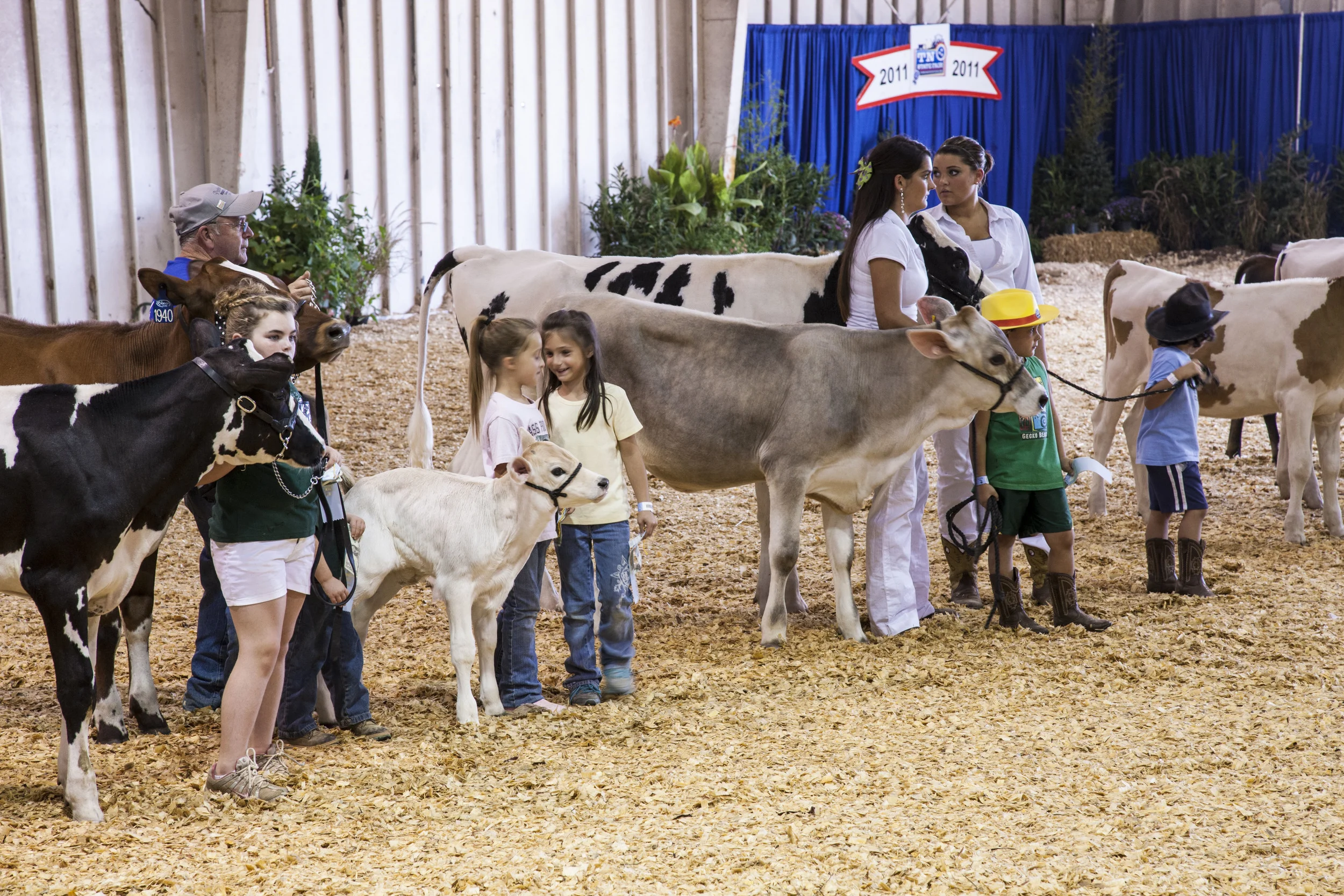 Tennessee State Fair, Nashville, TN