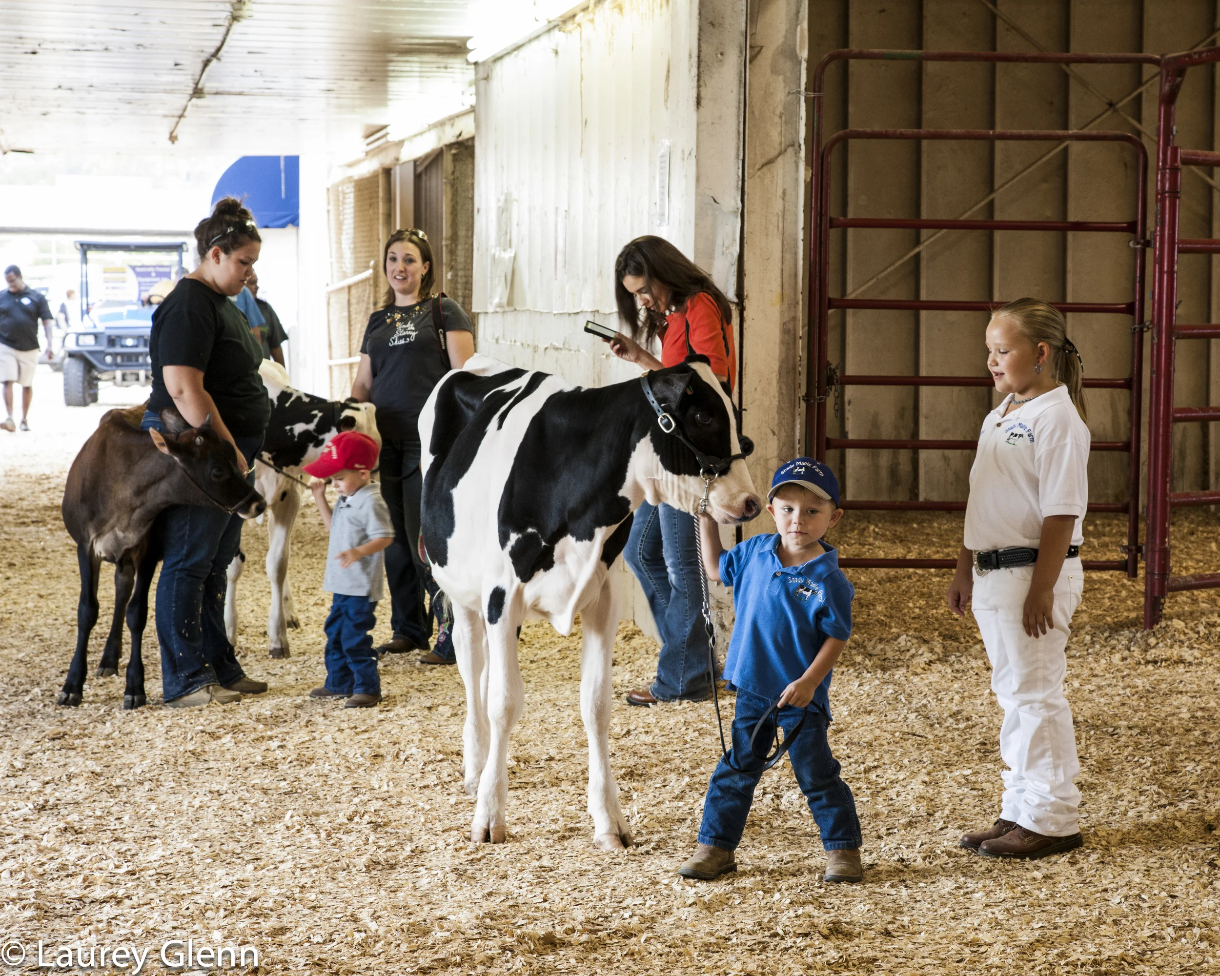 Tennessee State Fair, Nashville, Tn