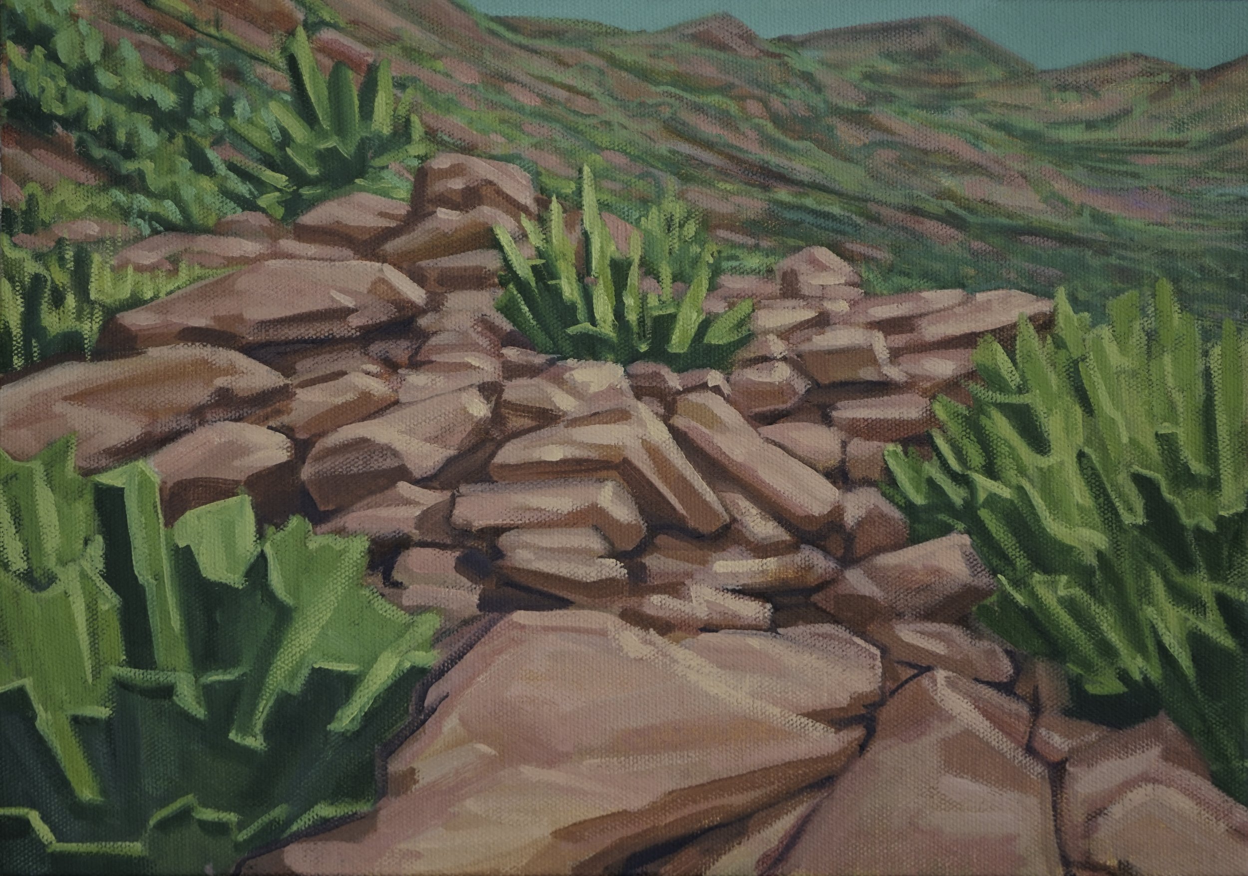 Rocks (outcrop)