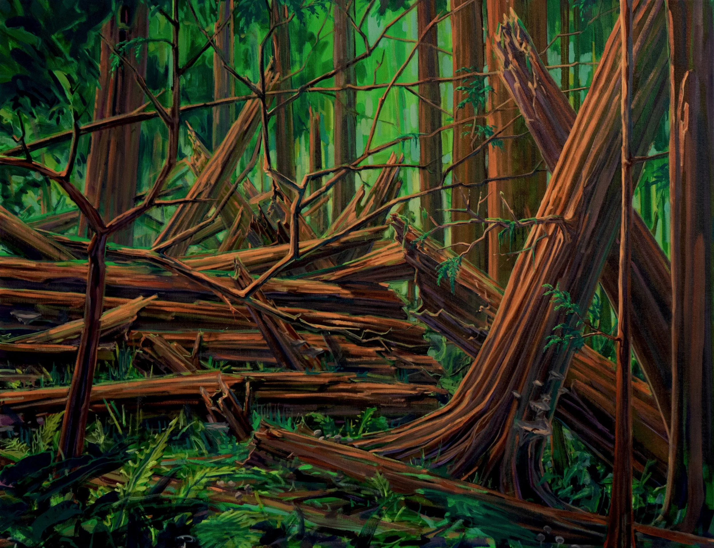 Loam (forest deadfall)