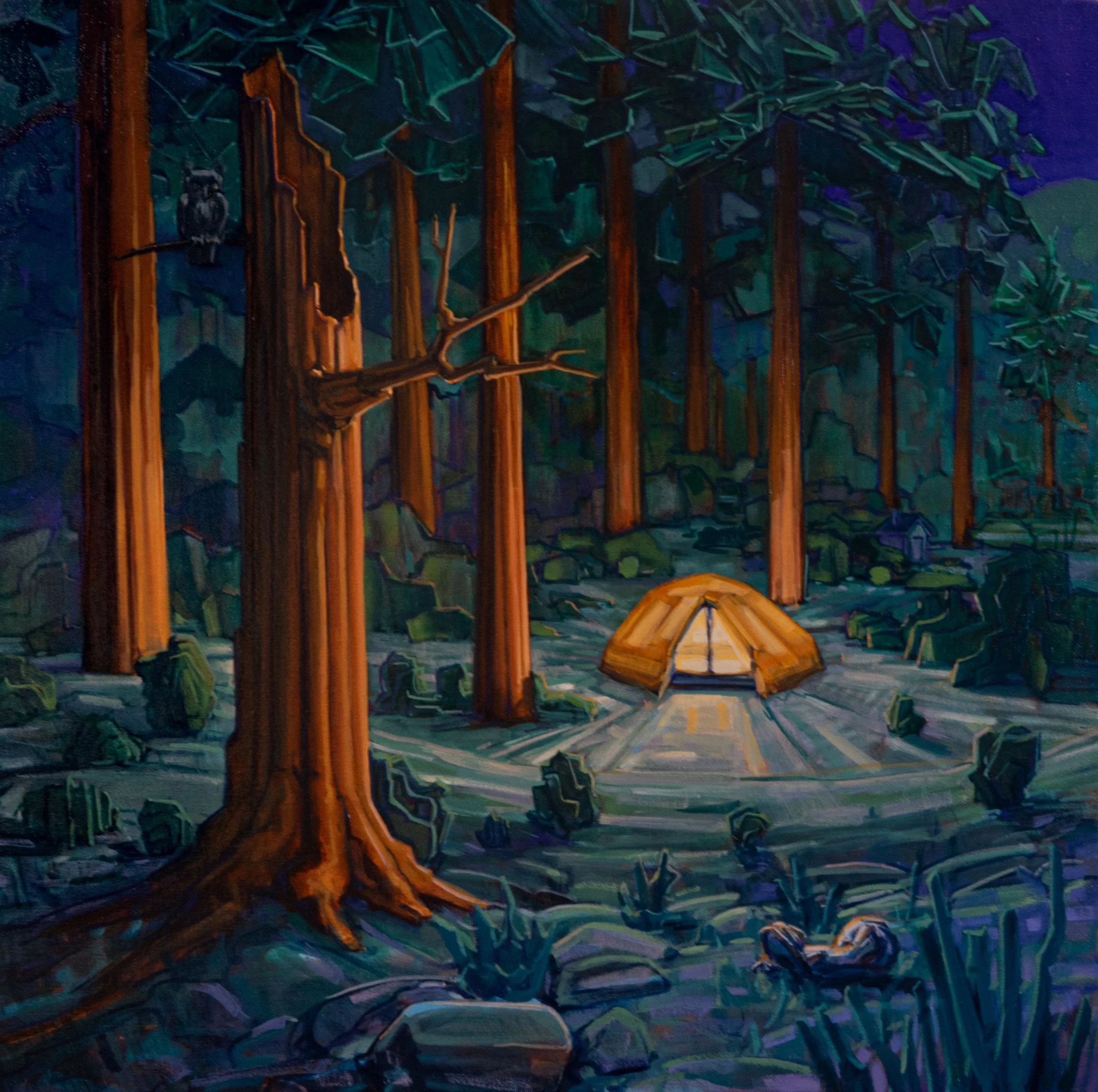 Campsite (nocturn)