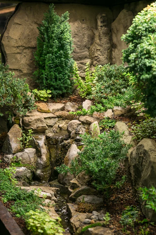 Waterscaping-1.jpg