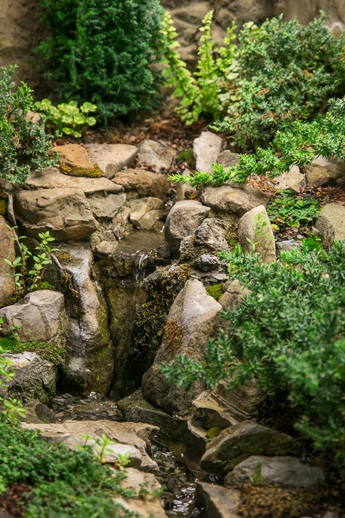 Waterscaping-2.jpg