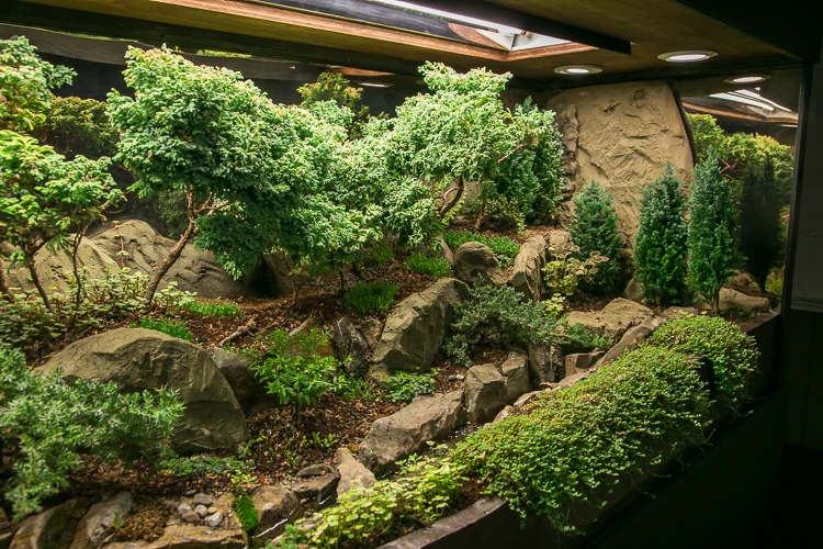 Waterscaping-5.jpg