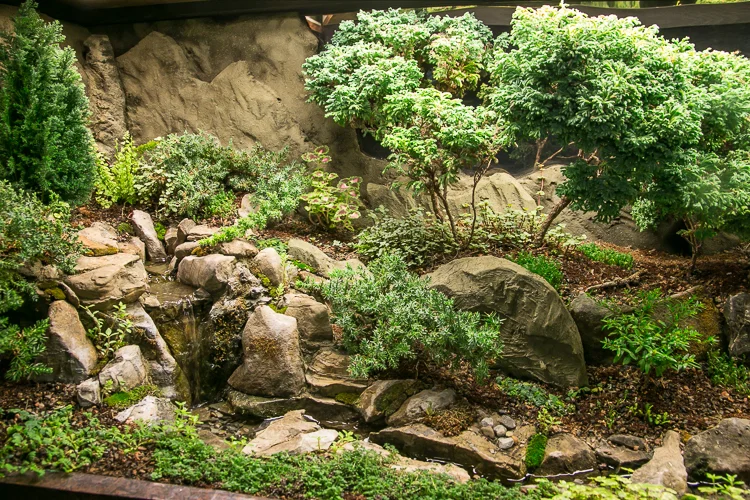 Waterscaping-4.jpg