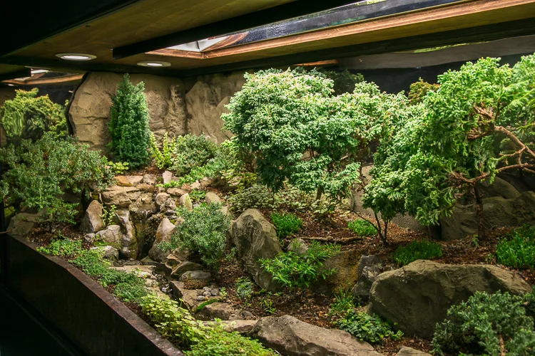 Waterscaping-6.jpg
