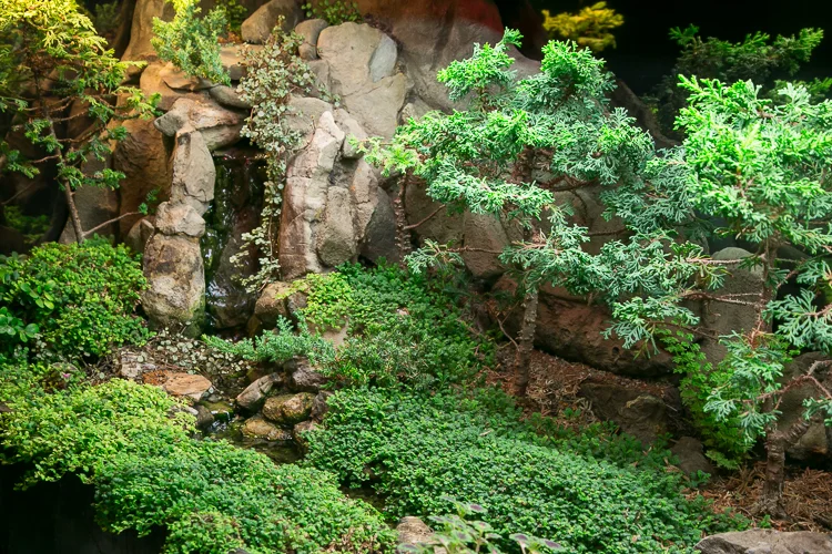 Waterscaping-7.jpg