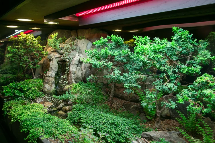 Waterscaping-8.jpg
