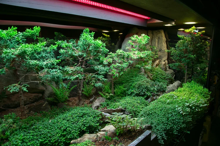 Waterscaping-9.jpg