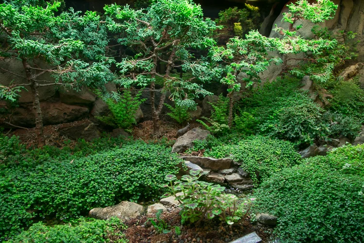 Waterscaping-14.jpg