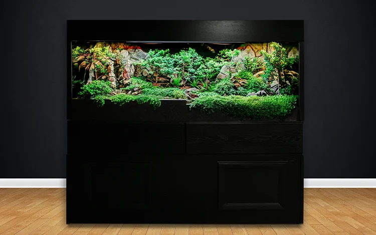 Waterscaping-22.jpg