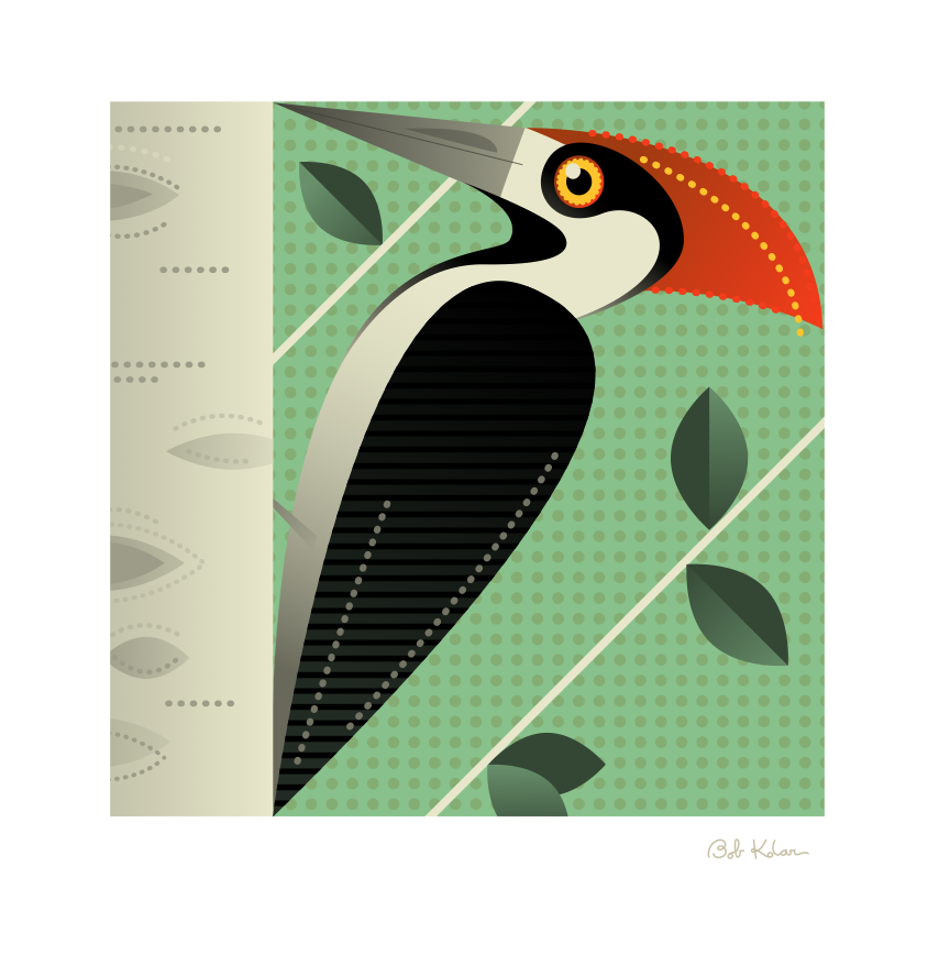 Screen Shot 2015-12-22 at 2.12.20 PM.png