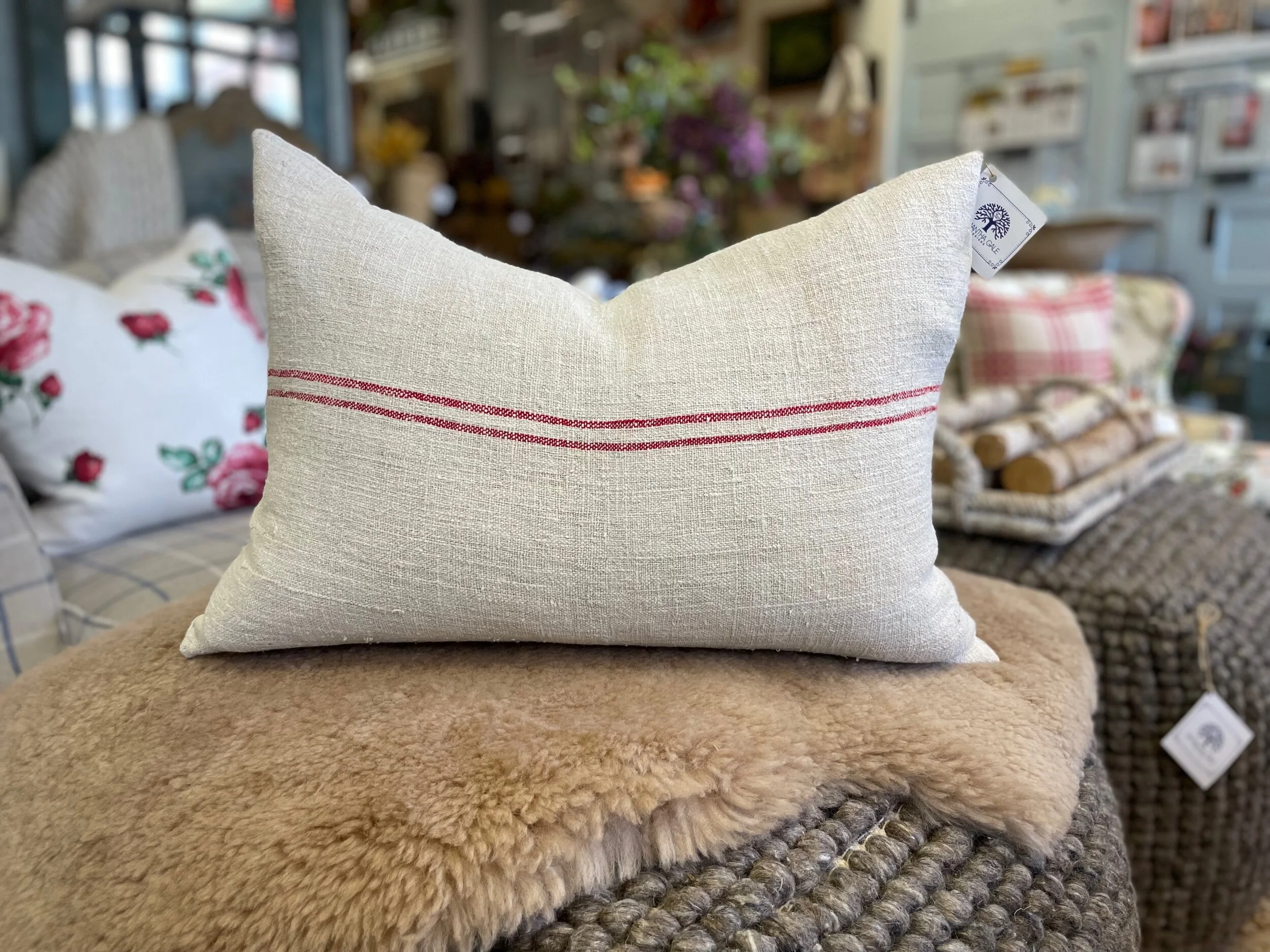 6D699297-EB97-4A28-ABF4-863C020EA61F