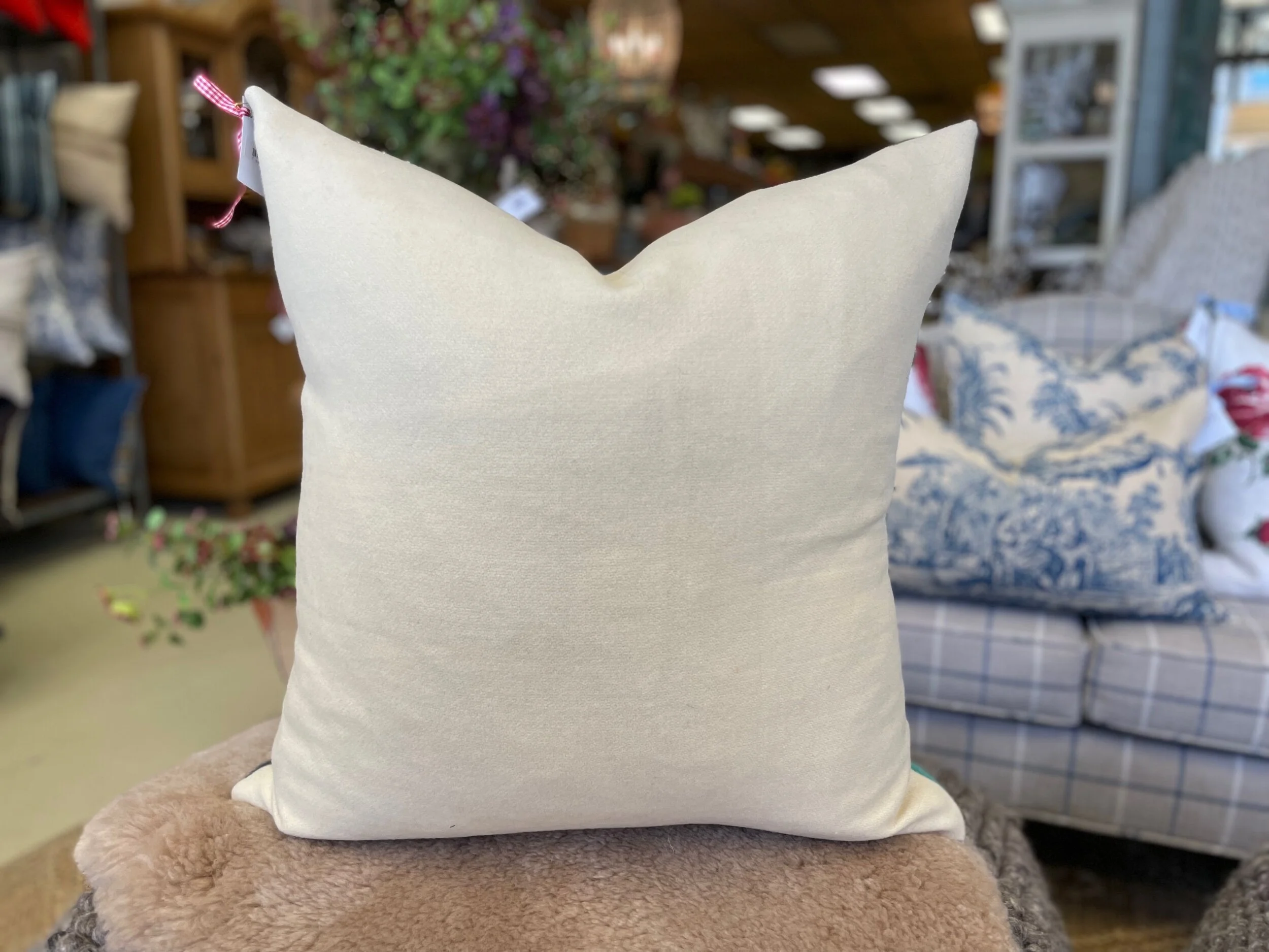 8059D19D-4A55-452D-A176-8F71B4B19838