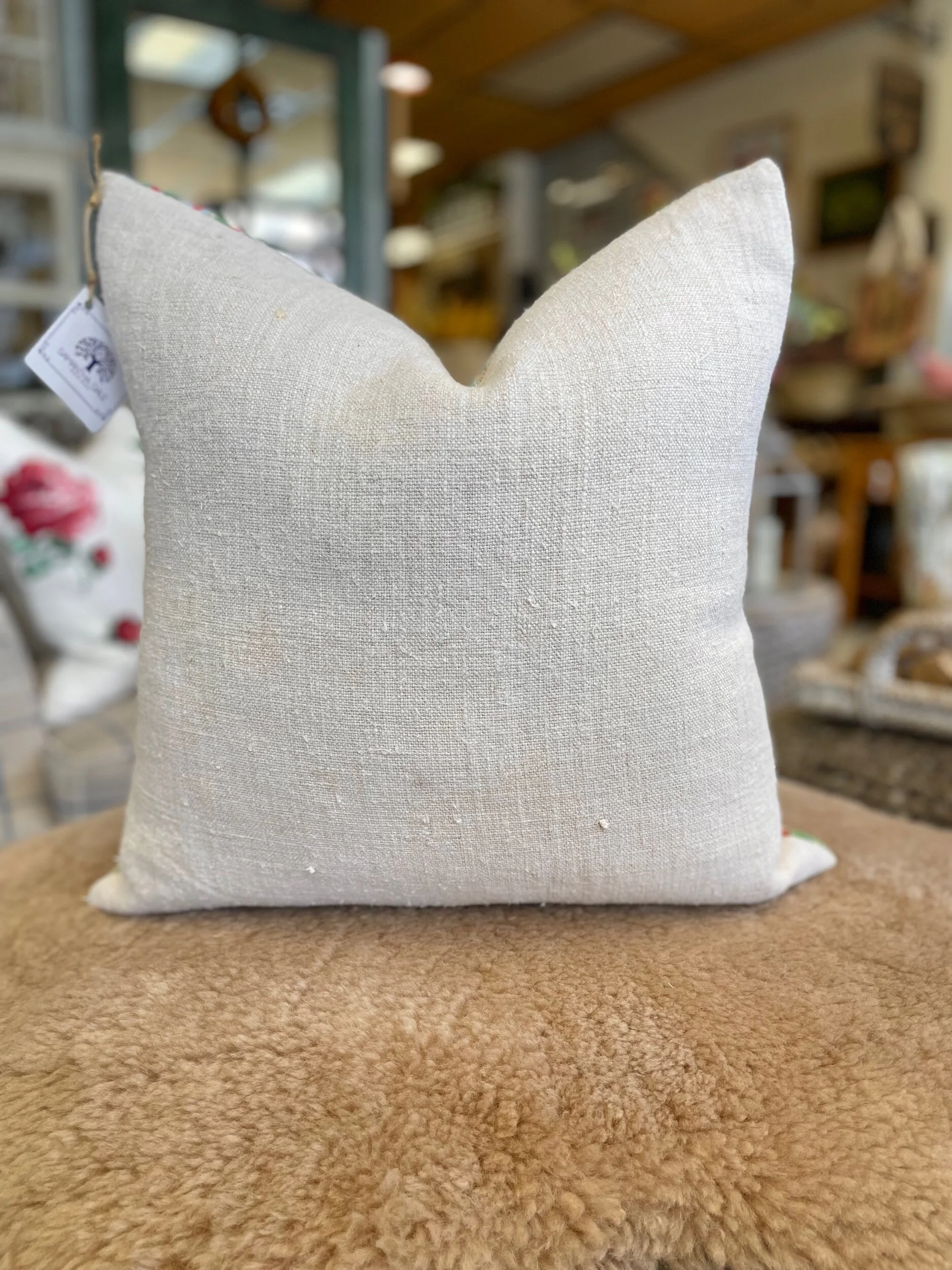 ADCC5A81-3CCC-4E32-AA94-FFA0FC680949